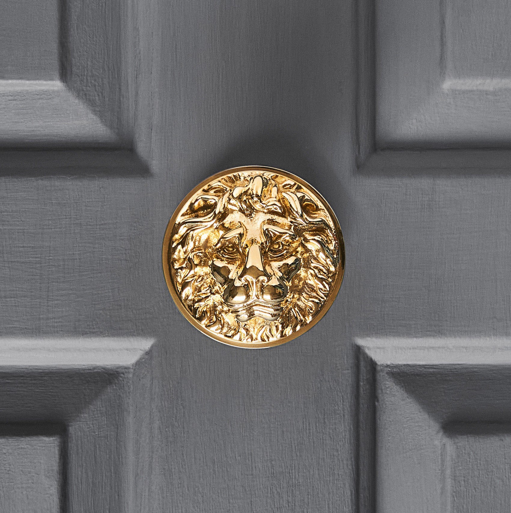 lions head door pull polished brass