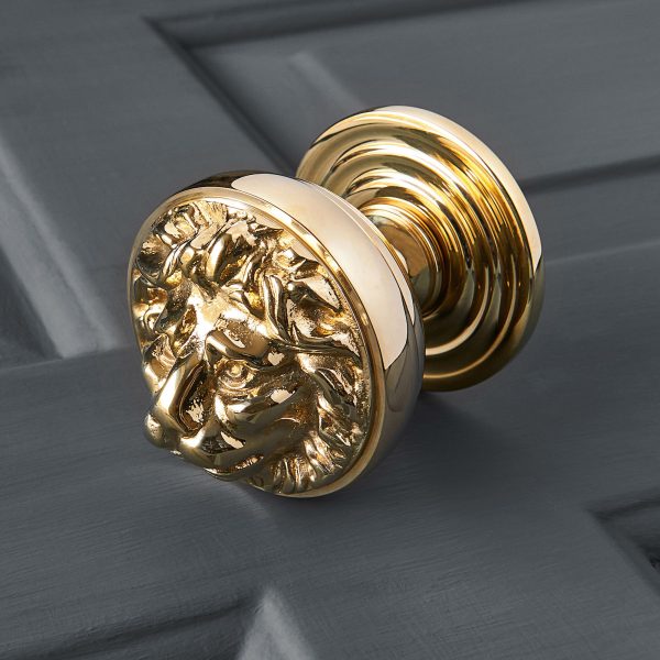 lions head door pull polished brass