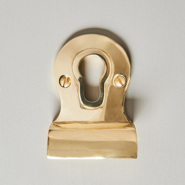euro door pull polished brass