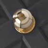 Beehive Large Door Pull - Polished Brass - Image 3