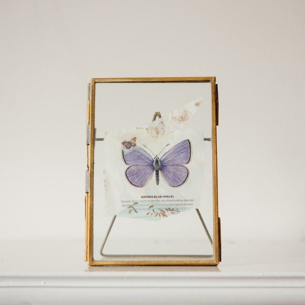 Brass Frames with Stand - SAVE 50%