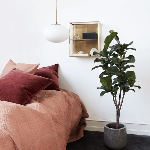 Brass Display Cabinet - Small - Image 2