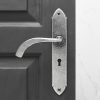 Gothic Curved Lever Handles (Pair) - Pewter