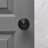 Ebonised Beehive Door Knobs (Pair) - Antique Brass Collar & Rose - Image 2