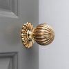 Flower Door Knobs (Pair) - Brass