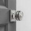 Georgian Decorated Rose Door Knobs (Pair) - Nickel