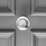 beehive centre door pull polished nickel