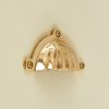 shell drawer pull polished brass