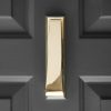the slim door knocker polished brass