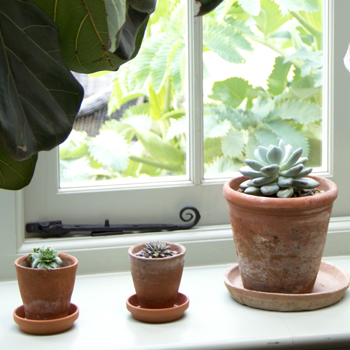guides thumbnail window stay