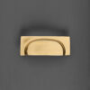 lipped drawer pull (concealed screw) polished brass