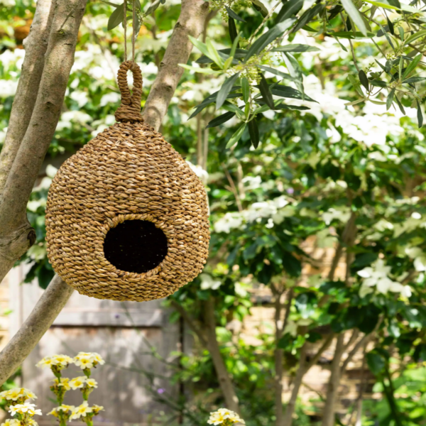 seagrass bird house