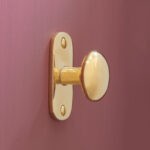 shaker cabinet knob on backplate polished brass