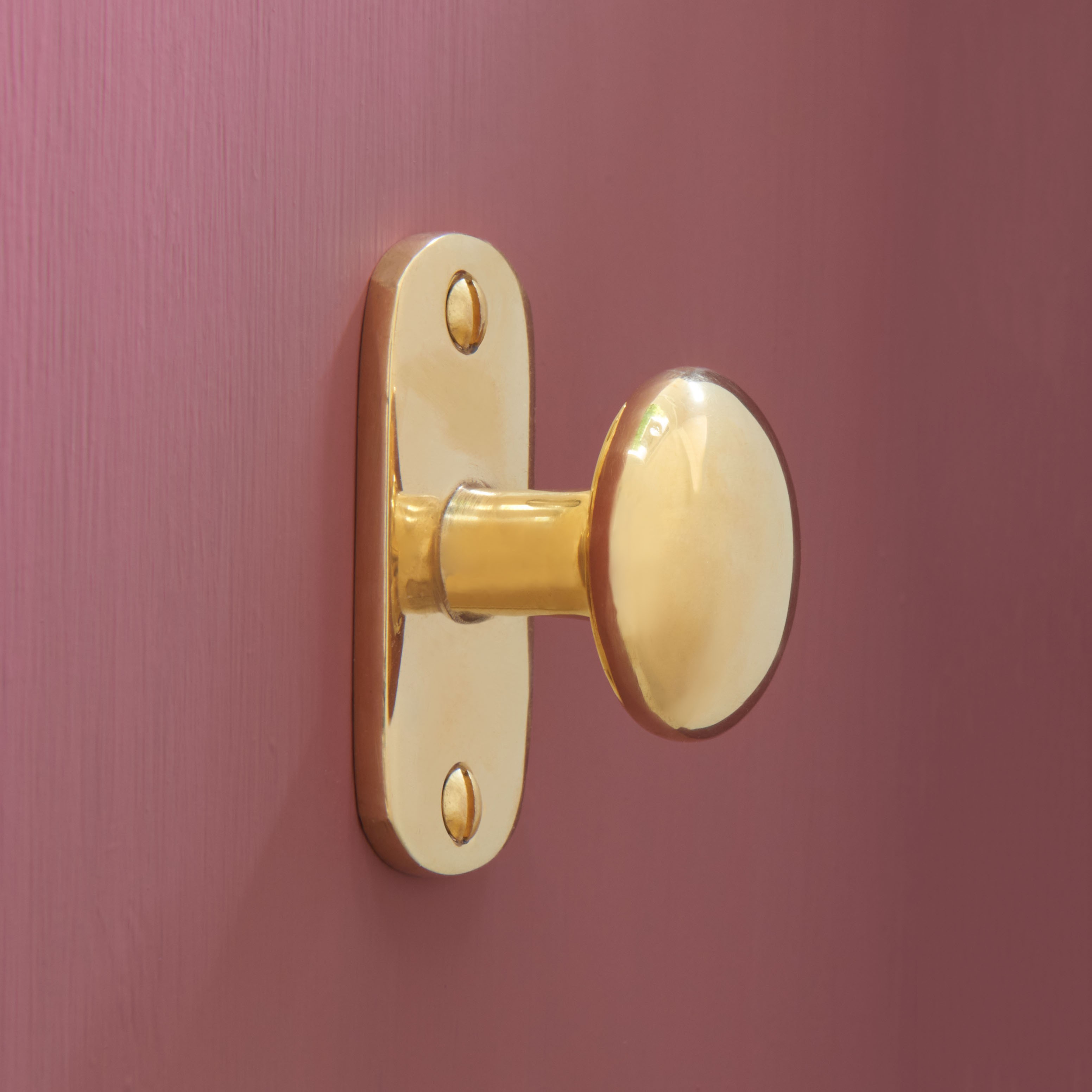 shaker cabinet knob on backplate polished brass