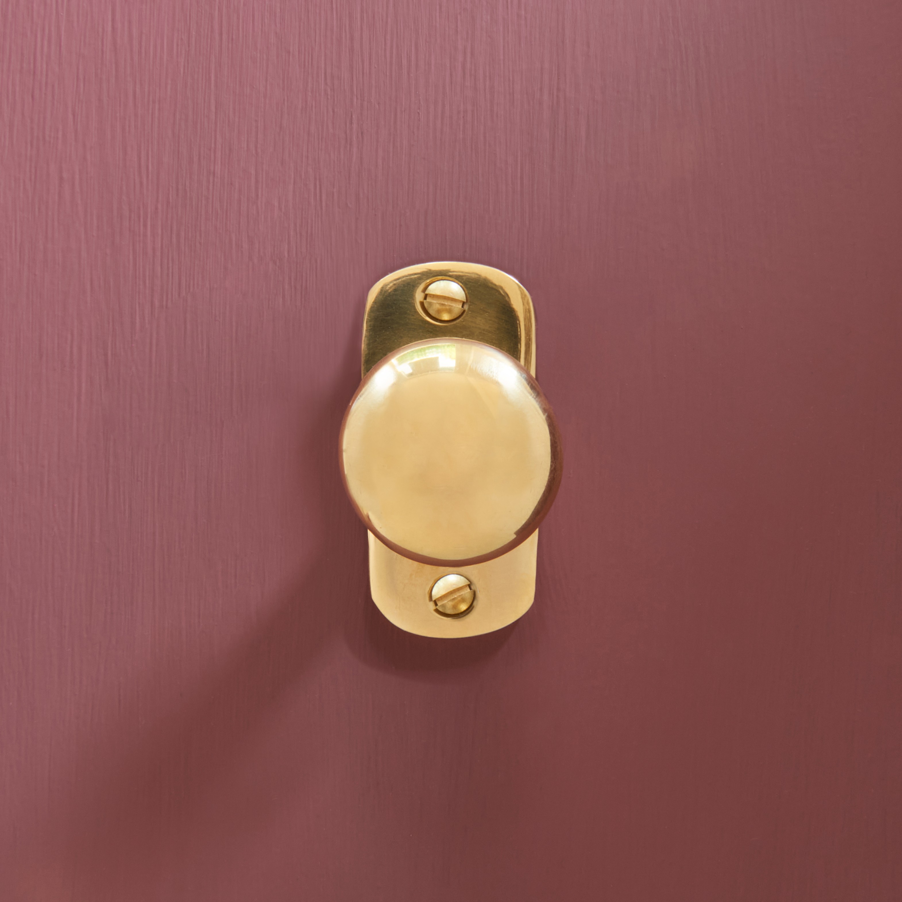 shaker cabinet knob on backplate polished brass