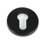 black 52mm regency concealed escutcheon