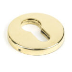 aged brass 52mm regency concealed escutcheon