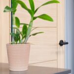 matt black brompton lever on rose set (beehive)