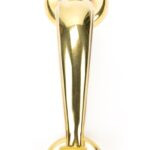 aged brass doctors door knocker