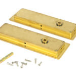 polished brass 175mm art deco rectangular pull privacy set