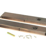 polished bronze 250mm art deco rectangular pull privacy set