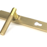 satin brass brompton slimline lever espag. lock set
