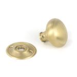 satin brass 49mm mushroom mortice/rim knob set