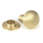 satin brass heavy beehive mortice/rim knob set