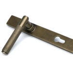 burnished brass brompton slimline lever espag. lock set