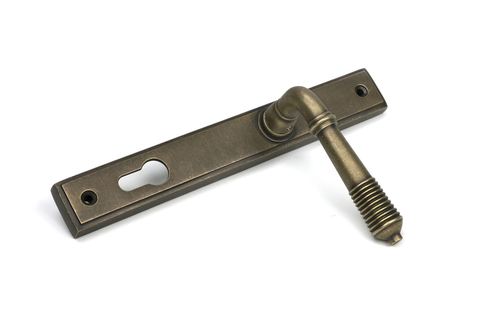 burnished brass reeded slimline lever espag. lock set