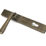 burnished brass avon slimline lever espag. lock set