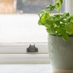 antique pewter sash lift