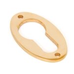 polished brass oval euro escutcheon