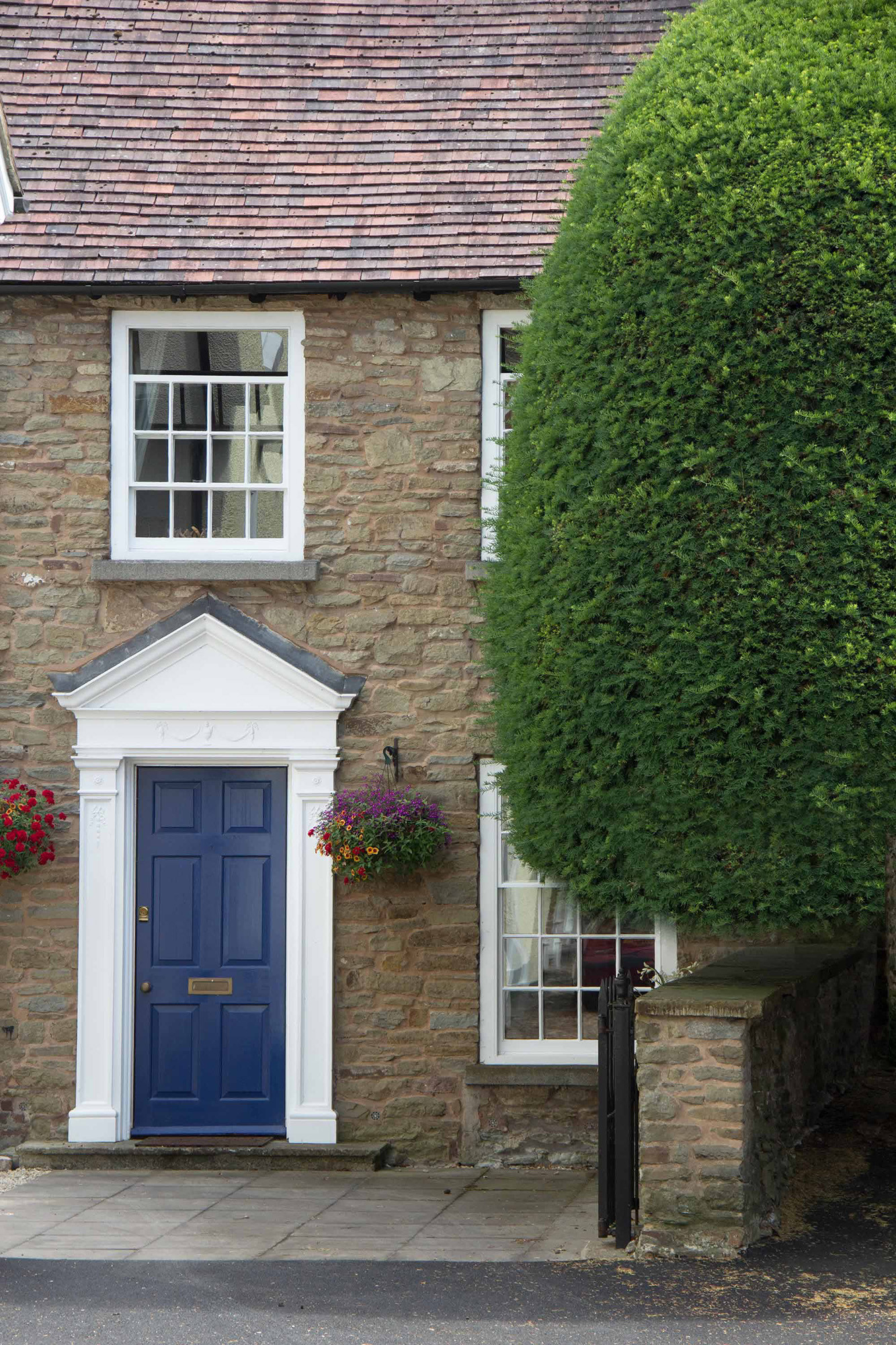 polished brass rim cylinder pull